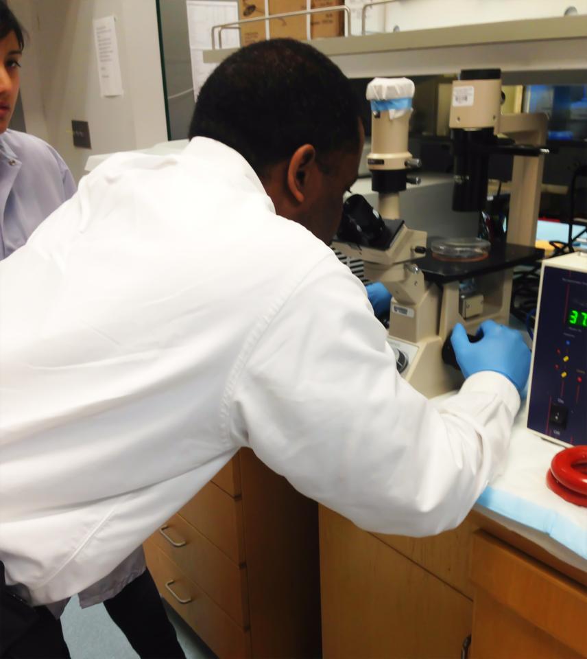 Global Stem Care Laboratories