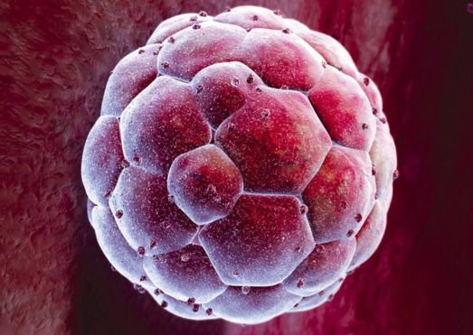 Global Stem Care Laboratories